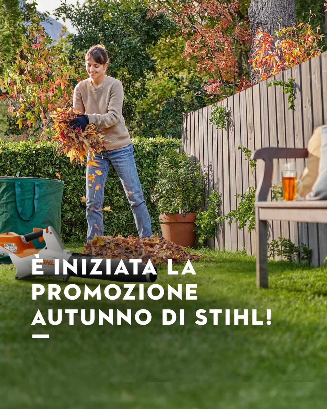 Immagine WhatsApp 2025 10 10 ore 17.19.20 f1c97407