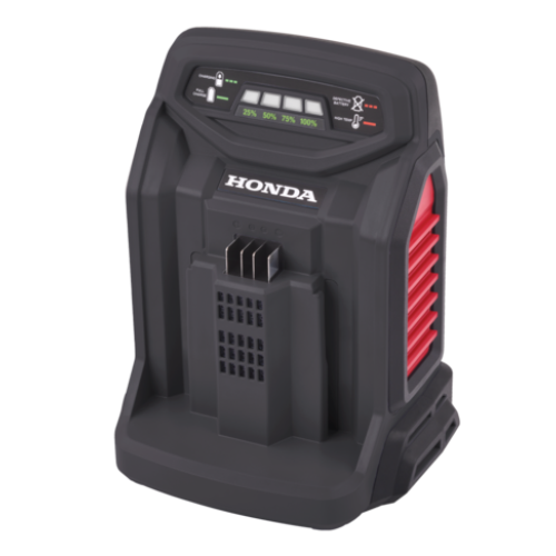 Caricabatterie veloce