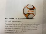 Pallone da calcio