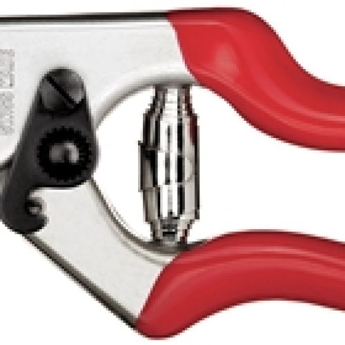 Forbice Felco 31