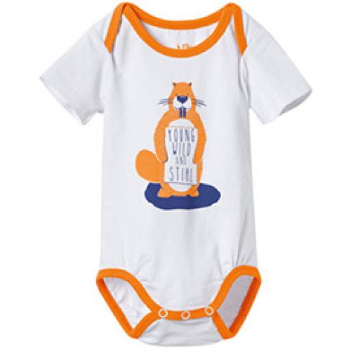 Tutina Beaver