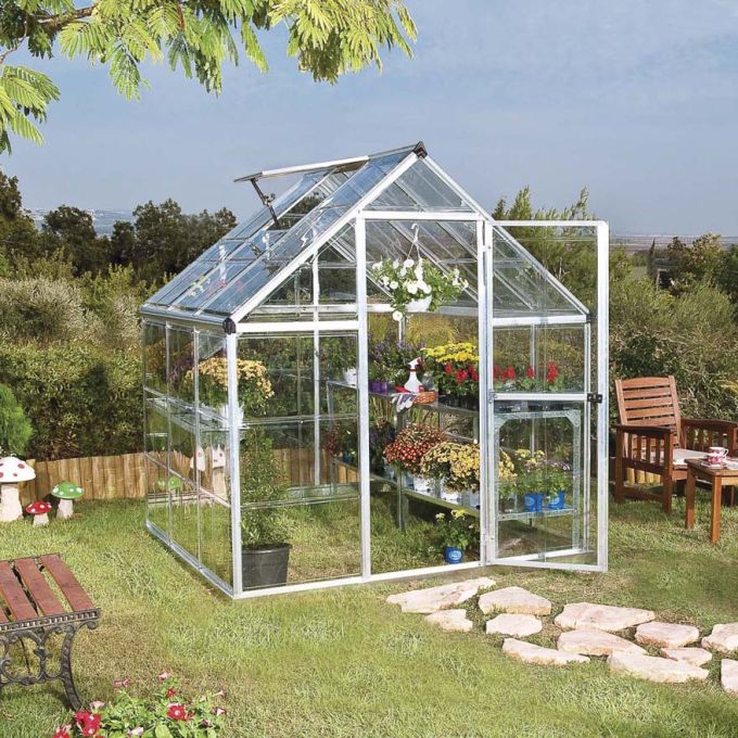 Serra Doritis MEDIUM