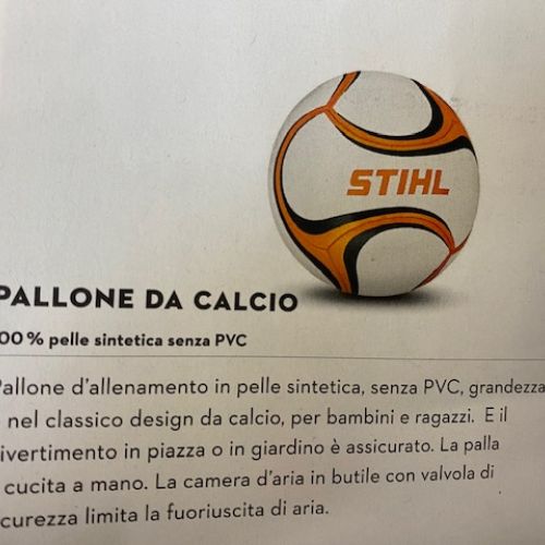 Pallone da calcio